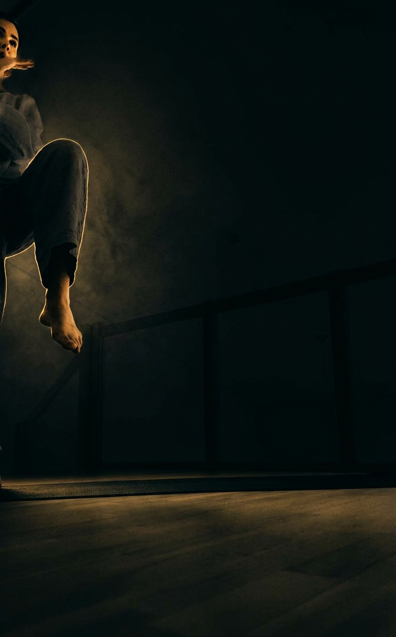 Silhouette of practitioner in crane stance